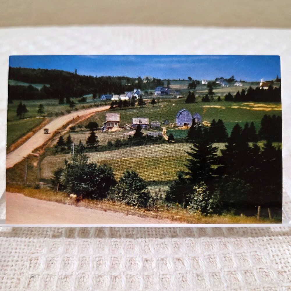 Vintage Farm on Prince Edward Island Canada Life Living Town Postcard UNP